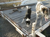 Enlarge photo 24