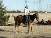 Enlarge photo 15