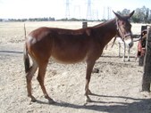 Enlarge photo 16