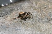 Enlarge photo 6