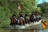 Enlarge photo 177