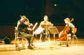 Enlarge photo 90