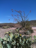 Enlarge photo 21