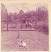 Enlarge photo 13