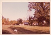 Enlarge photo 35