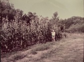 Enlarge photo 43