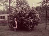 Enlarge photo 51