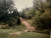 Enlarge photo 45