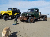 Enlarge photo 342