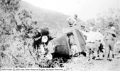 Enlarge photo 109