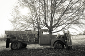 Enlarge photo 120