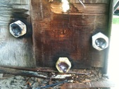 Enlarge photo 174