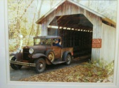Enlarge photo 315