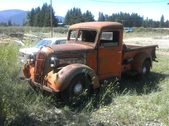 Enlarge photo 288