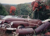 Enlarge photo 248