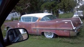 Enlarge photo 271