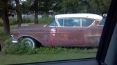 Enlarge photo 272