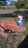 Enlarge photo 121