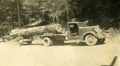 Enlarge photo 317