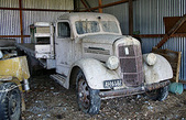 Enlarge photo 309