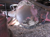 Enlarge photo 249