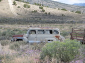 Enlarge photo 133