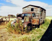 Enlarge photo 45