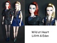 Enlarge photo 312