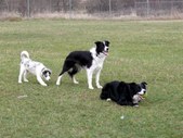 Enlarge photo 13