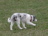 Enlarge photo 14