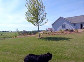 Enlarge photo 20
