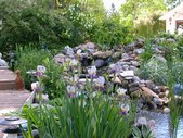 Enlarge photo 4