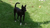 Enlarge photo 23