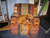 Enlarge photo 21