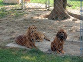 Enlarge photo 16