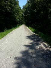 Enlarge photo 3