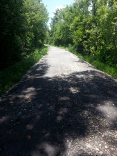 Enlarge photo 5
