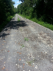Enlarge photo 6