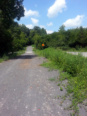 Enlarge photo 7