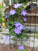 Enlarge photo 24