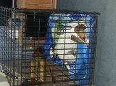 Enlarge photo 20