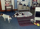 Enlarge photo 21