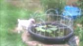 Enlarge MPEG4 22
