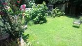 Enlarge MPEG4 23