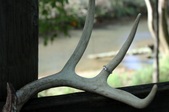 Enlarge photo 1