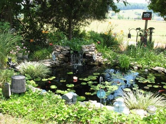 Enlarge photo 4