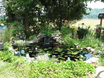 Enlarge photo 2