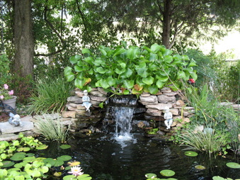Enlarge photo 36