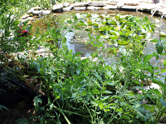 Enlarge photo 49