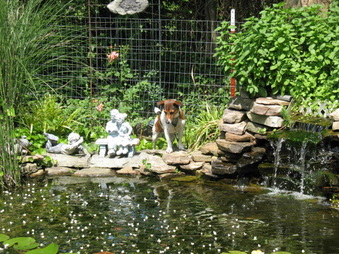 Enlarge photo 6